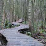 path